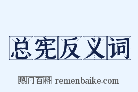 总宪反义词是什么意思的图片
